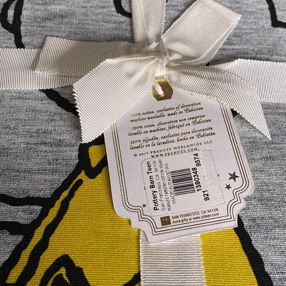 Pottery Barn Teen Peanuts Charlie Brown and Gang “Squad” Cotton Wall Tapestry - Picture 8 of 13